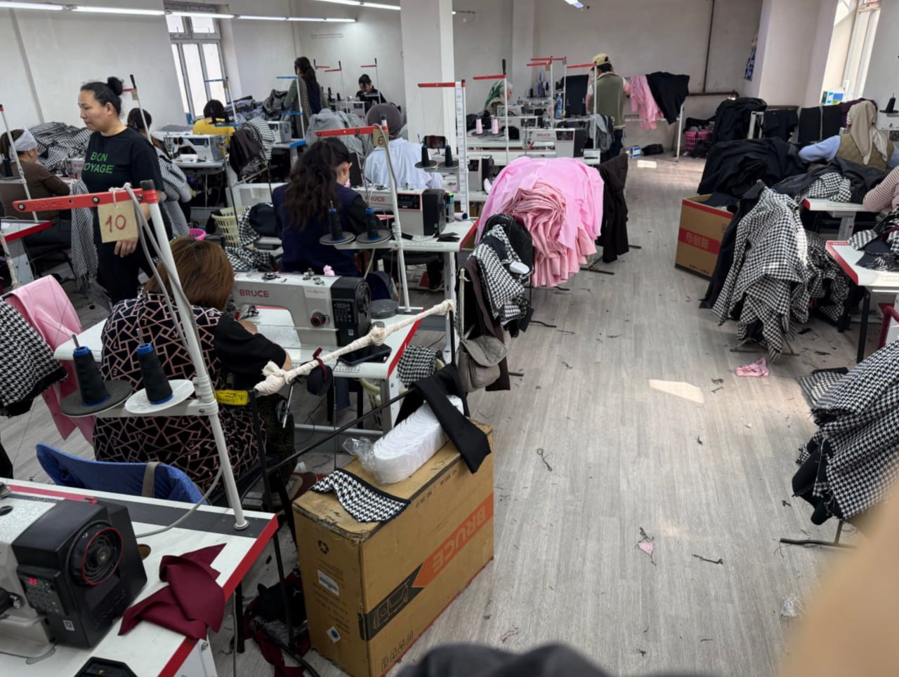 photo 2026 01 12 01 06 57 (1)